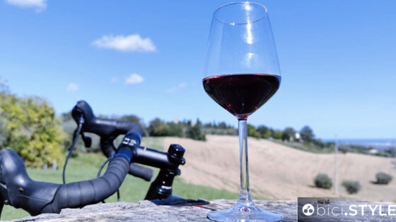 NoiMarche Bikelife vino cicloturismo
