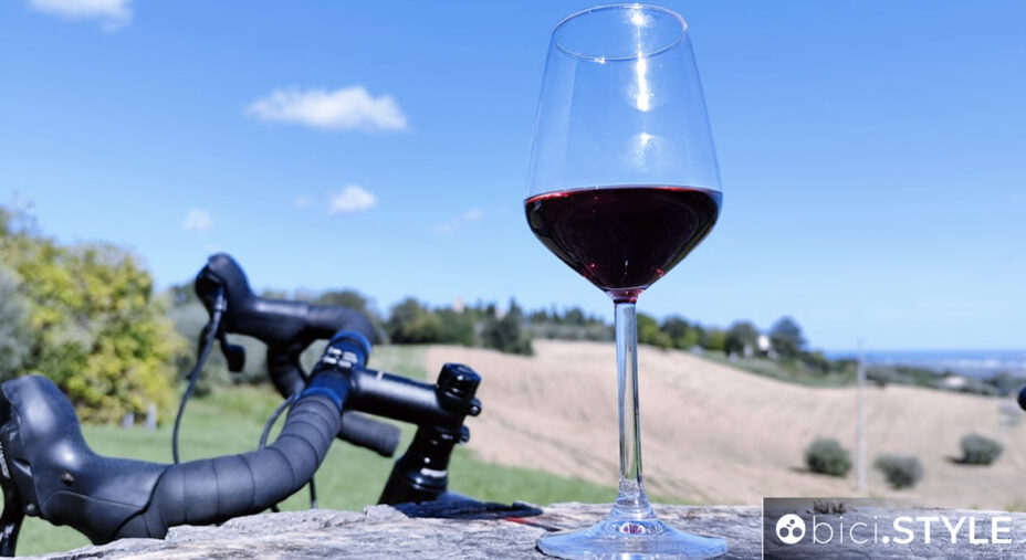 NoiMarche Bikelife vino cicloturismo