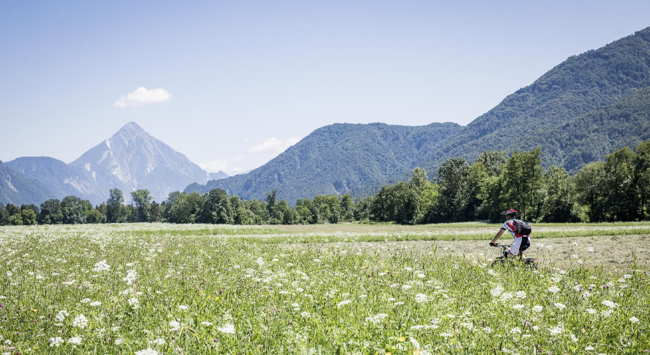 Carnia, Silent Alps