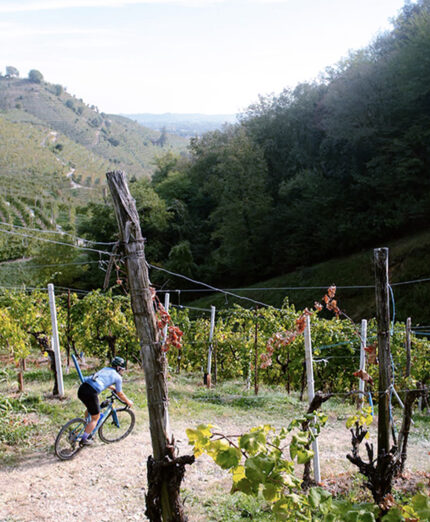 Marca Bianca, gravel