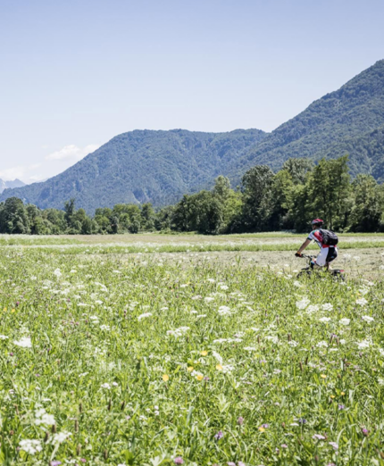 Carnia, Silent Alps