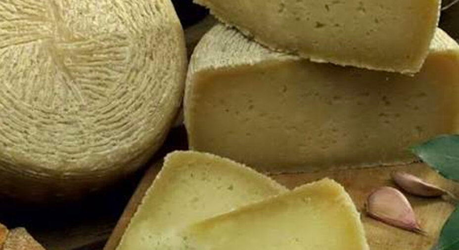 Il pecorino dei Monti della Laga è solitamente ricavato da un misto di latte ovino e al 30 per cento di caprino (foto L'Aquila 2026)