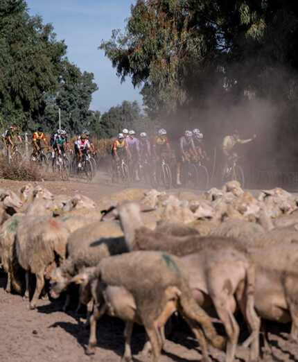 Via i turisti, la Sardegna si riprende la Sardegna... (foto SGR 2026)